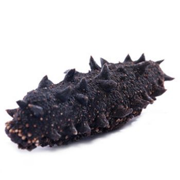 High Quality Dried Sea Cucumber For Sale