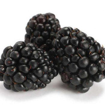 IQF frozen Organic Blackberries Premium Frozen fruit frozen blackberry Fruit