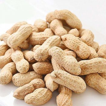 China buyers manufacturers peanuts kernel specification raw red skin storage bulk peanut